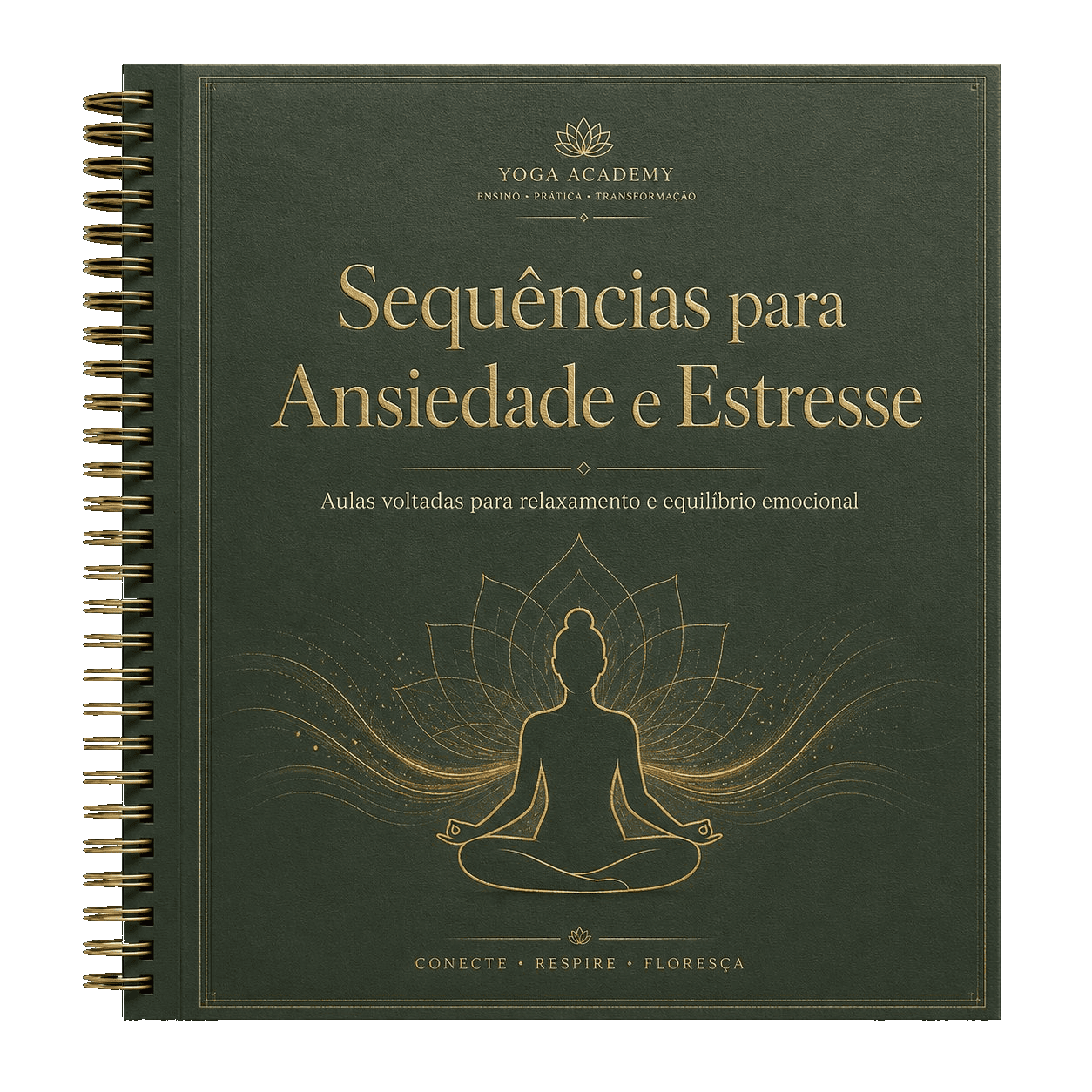 Mockup do bônus Sequências para Ansiedade e Estresse